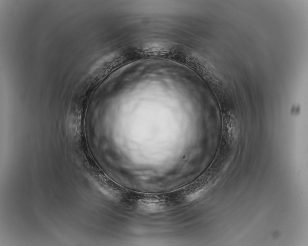 X0000096700745200802261604