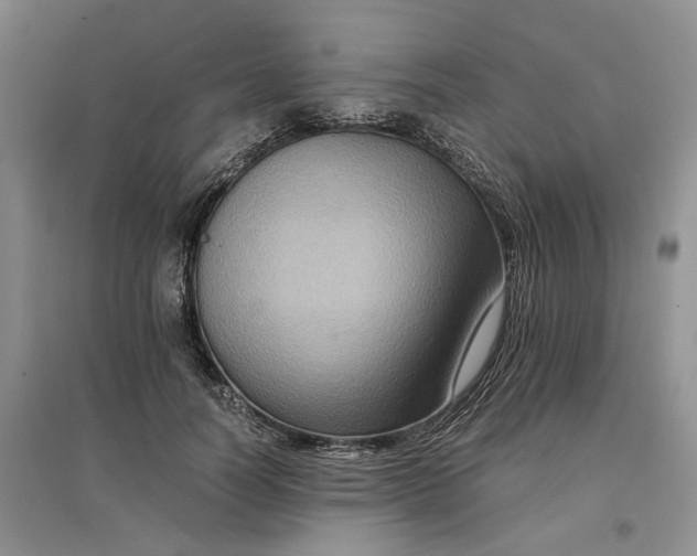 X0000096700746200802261604