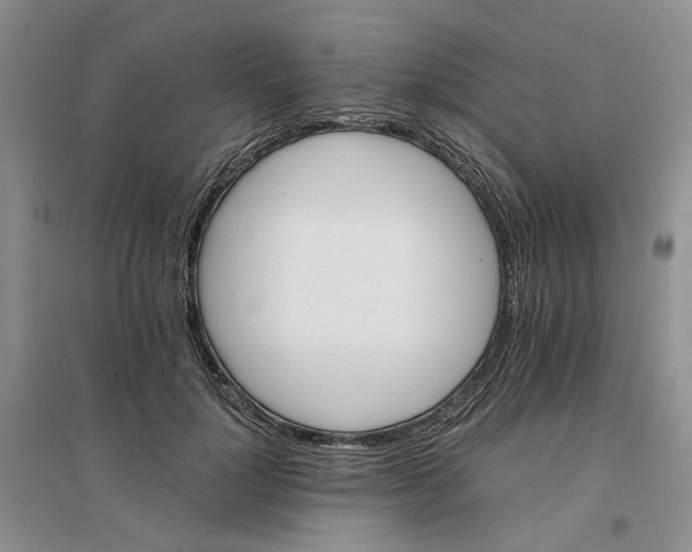 X0000096700748200802261604