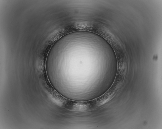X0000096700749200802261604