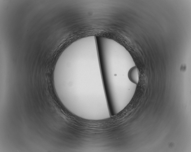 X0000096700750200802261604