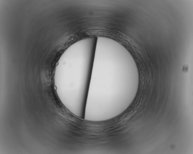 X0000096700751200802261604