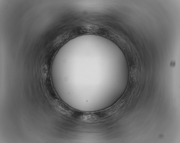X0000096700752200802261605