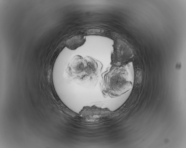 X0000096700753200802261605