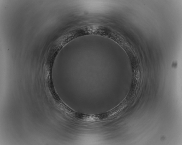 X0000096700754200802261605
