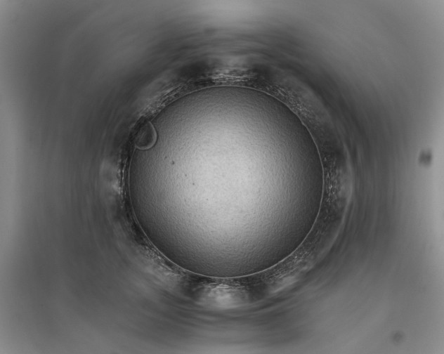 X0000096700755200802261605