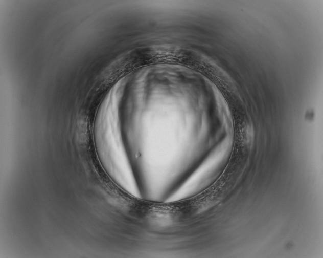 X0000096700757200802261605