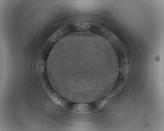 X0000096700758200802261605