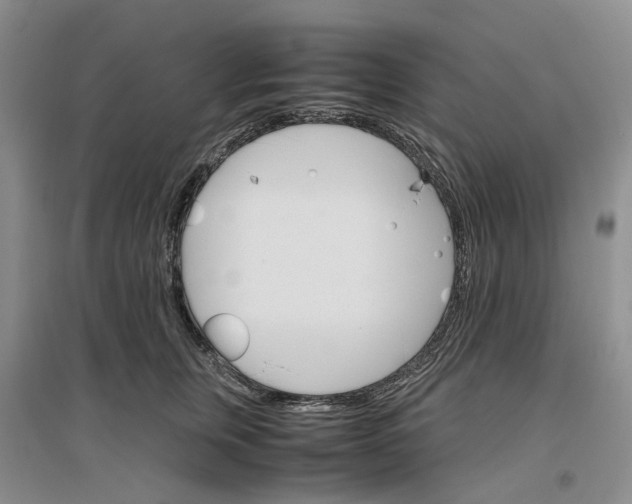X0000096700759200802261605