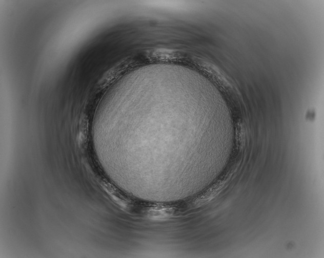 X0000096700760200802261605