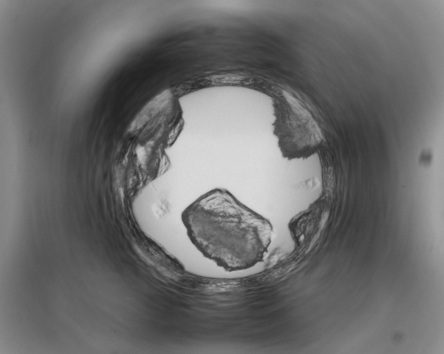 X0000096700761200802261605