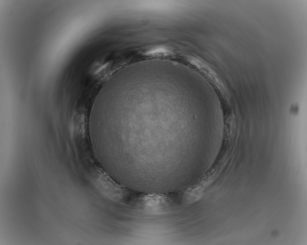 X0000096700762200802261605