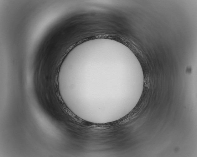 X0000096700763200802261605