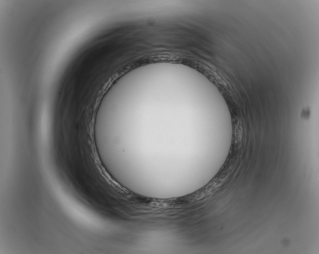X0000096700764200802261605