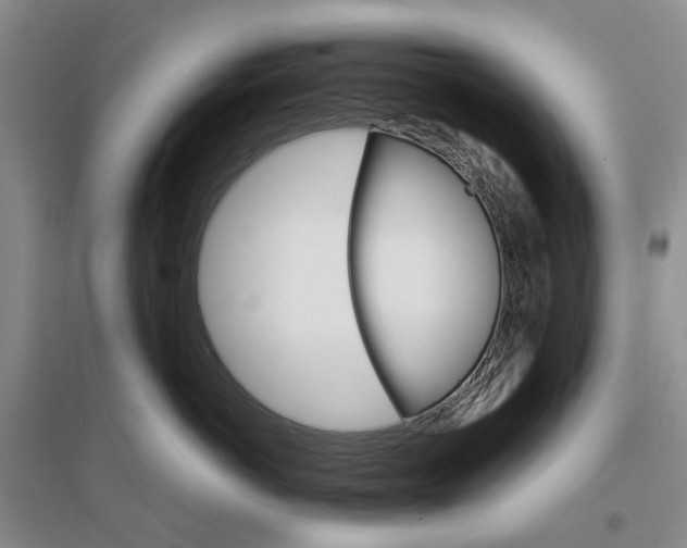 X0000096700766200802261605
