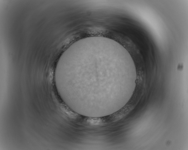 X0000096700767200802261605