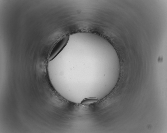 X0000096700768200802261605