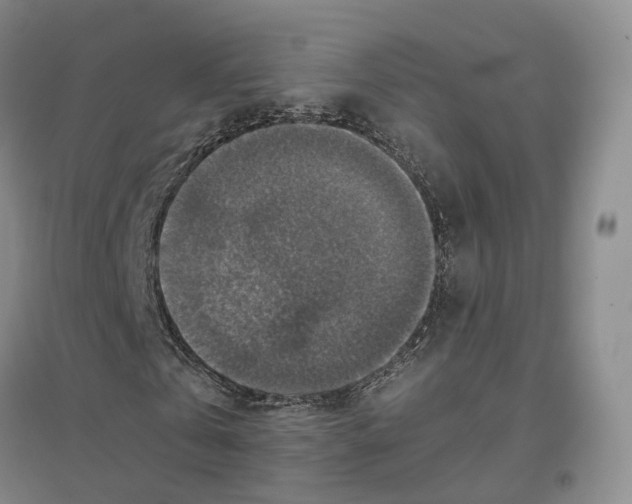 X0000096700769200802261604