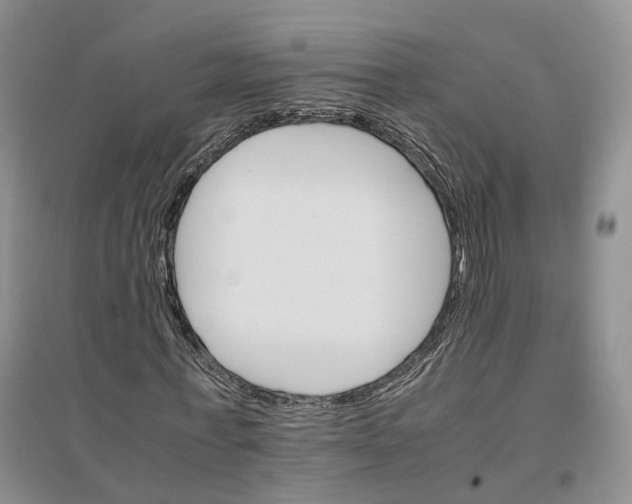 X0000096700771200802261604