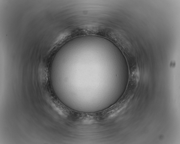 X0000096700772200802261604