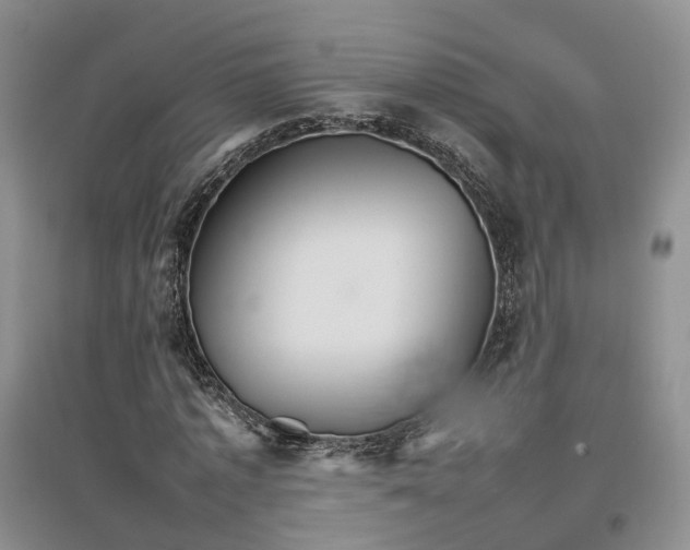 X0000096700773200802261604