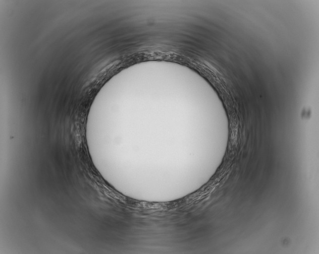 X0000096700774200802261604