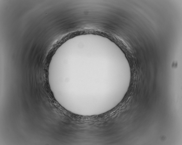 X0000096700776200802261604
