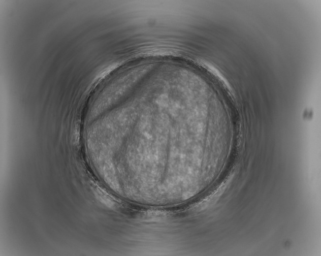 X0000096700777200802261604