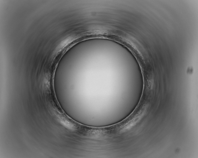 X0000096700778200802261604