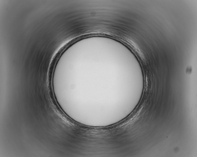 X0000096700780200802261604