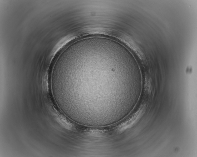 X0000096700782200802261604