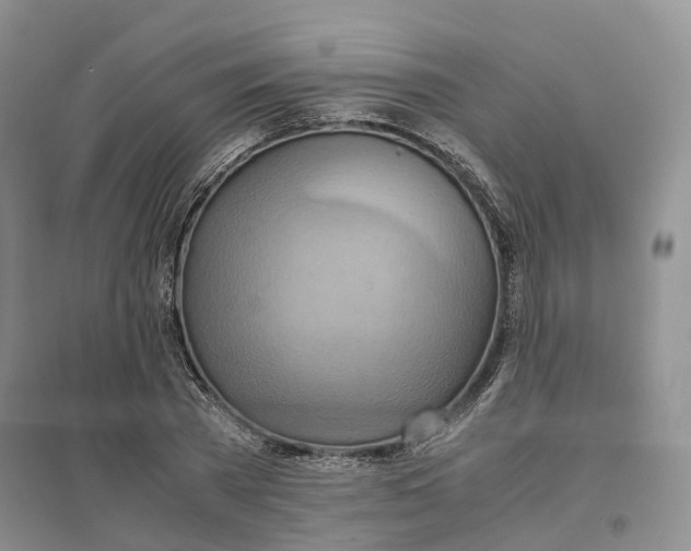 X0000096700785200802261604