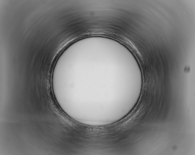 X0000096700786200802261604
