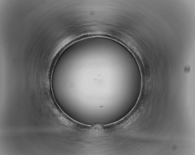 X0000096700789200802261604