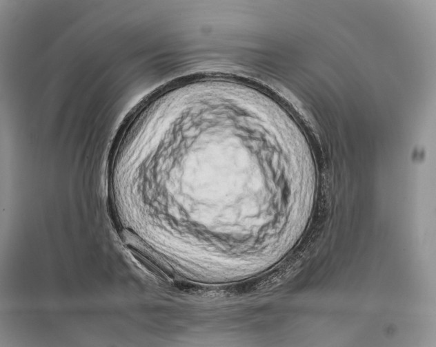 X0000096700791200802261604