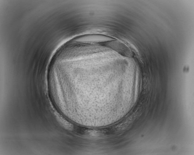 X0000096700792200802261604