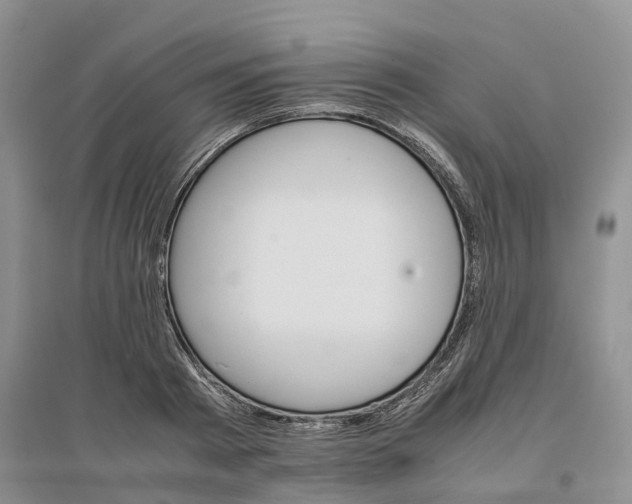 X0000096700793200802261604