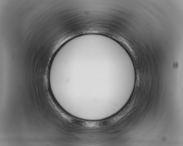 X0000096700794200802261604