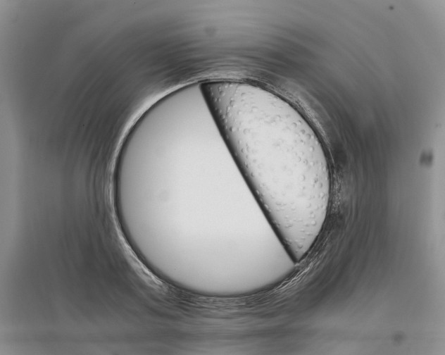 X0000096700795200802261604