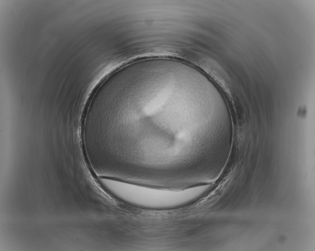 X0000096700797200802261604