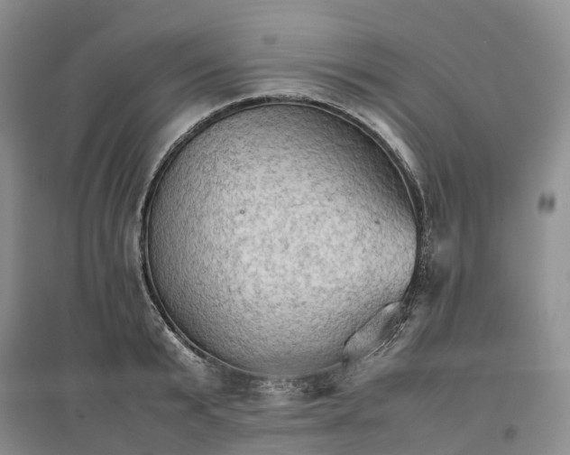 X0000096700799200802261604
