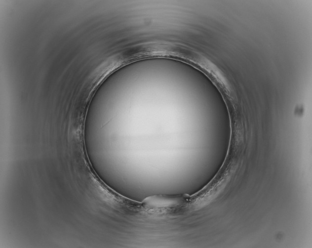 X0000096700801200802261604