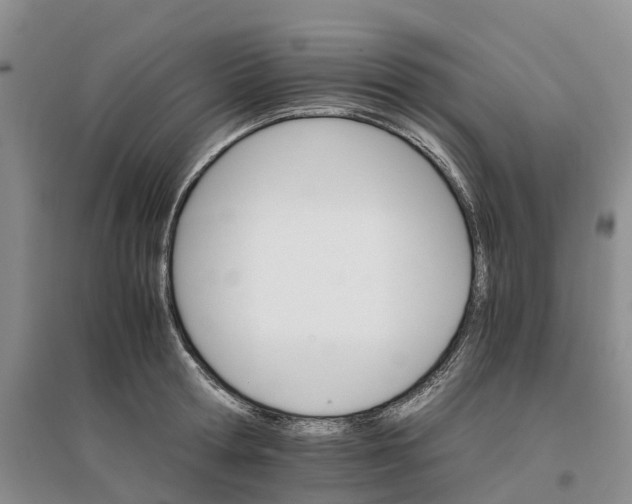 X0000096700802200802261604