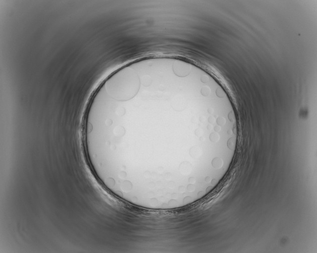 X0000096700803200802261604