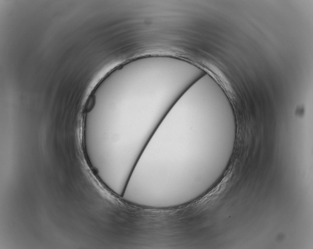 X0000096700804200802261604