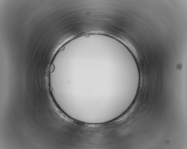 X0000096700806200802261603