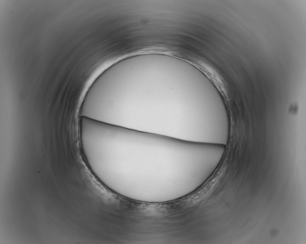 X0000096700808200802261603