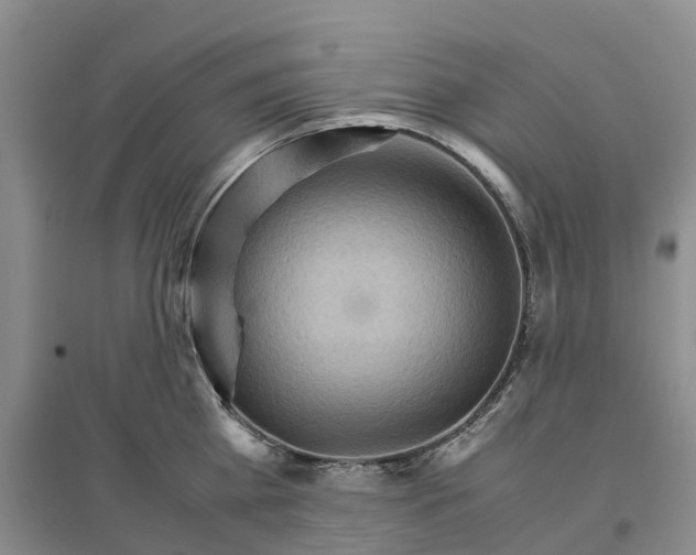X0000096700809200802261603