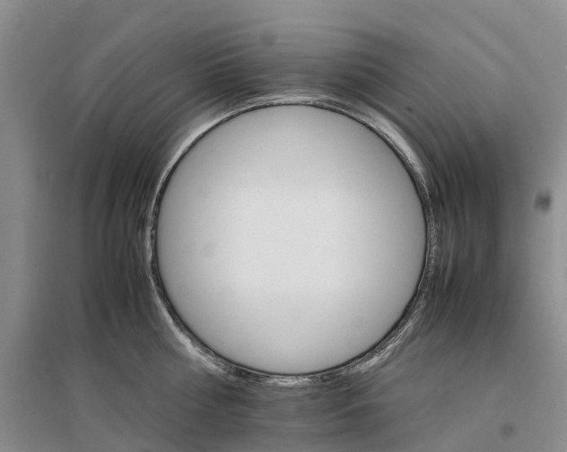 X0000096700810200802261603