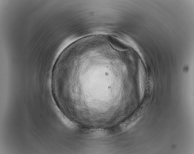 X0000096700811200802261603